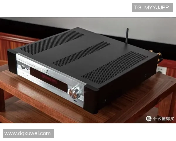 伯顿功放VS6评测：音质表现与功能对比分析，谁才是音响界的王者